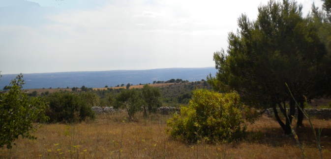 agricoltura