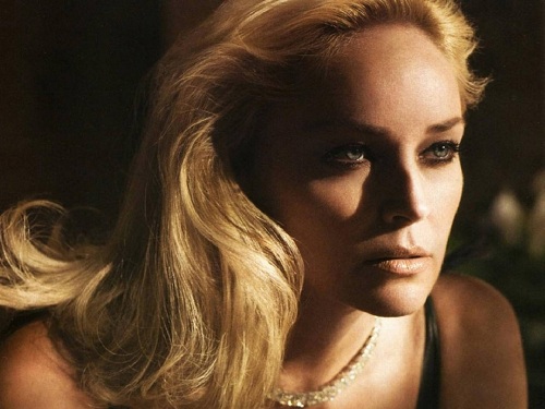 La bella attrice Sharon Stone