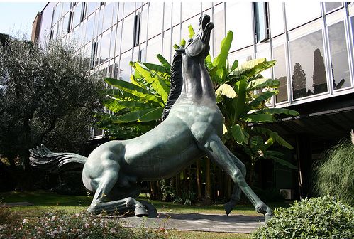foto cavallo rai
