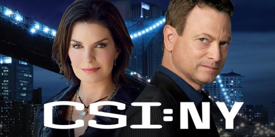 foto serie tv csi stagione 9