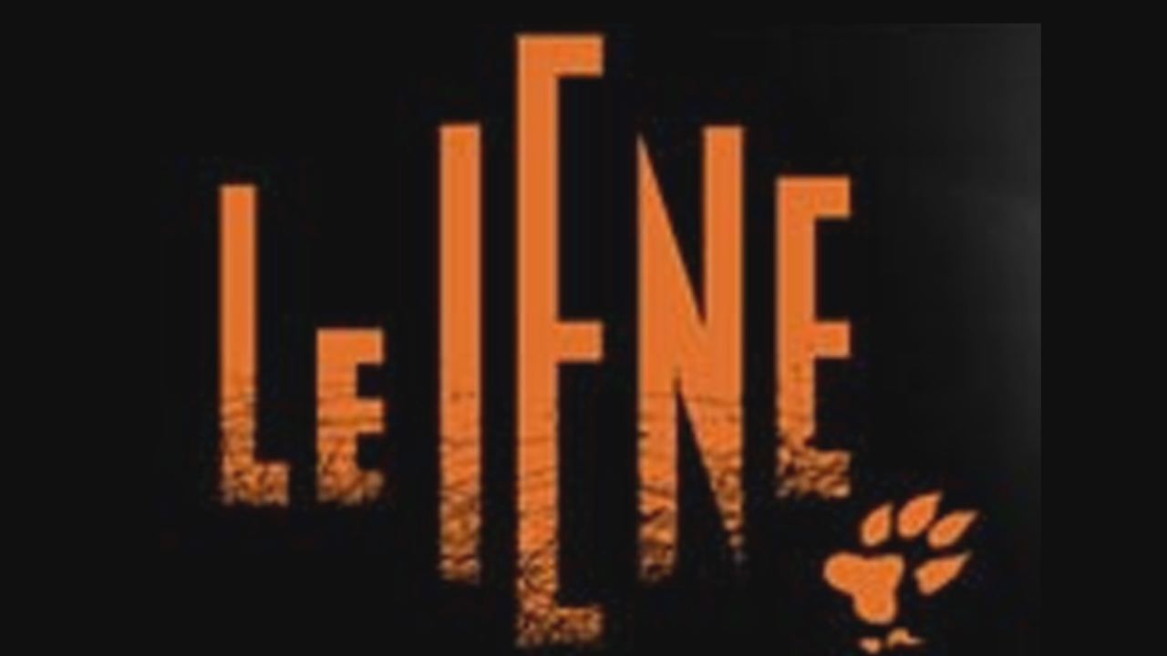 foto del logo delle iene