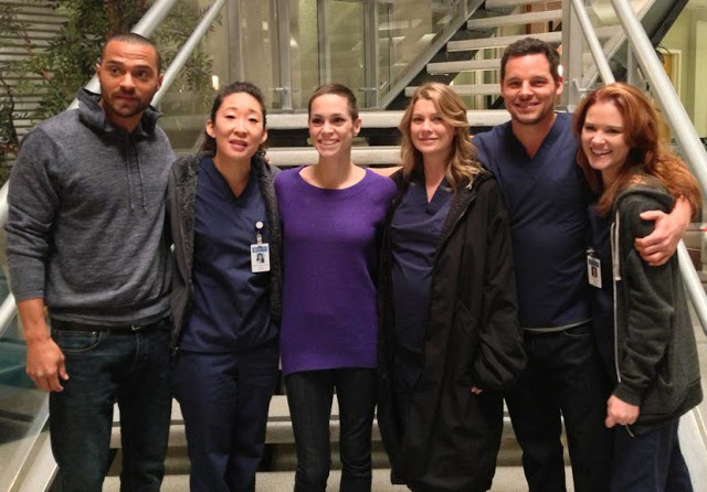 greys-anatomy-9-foto-meredith-incinta
