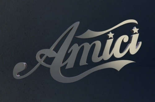 Logo di Amici 2013, serale