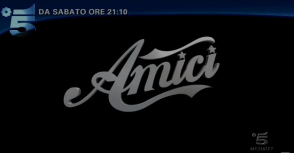 Logo di Amici 2013
