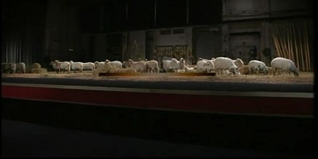 SANREMO 2014