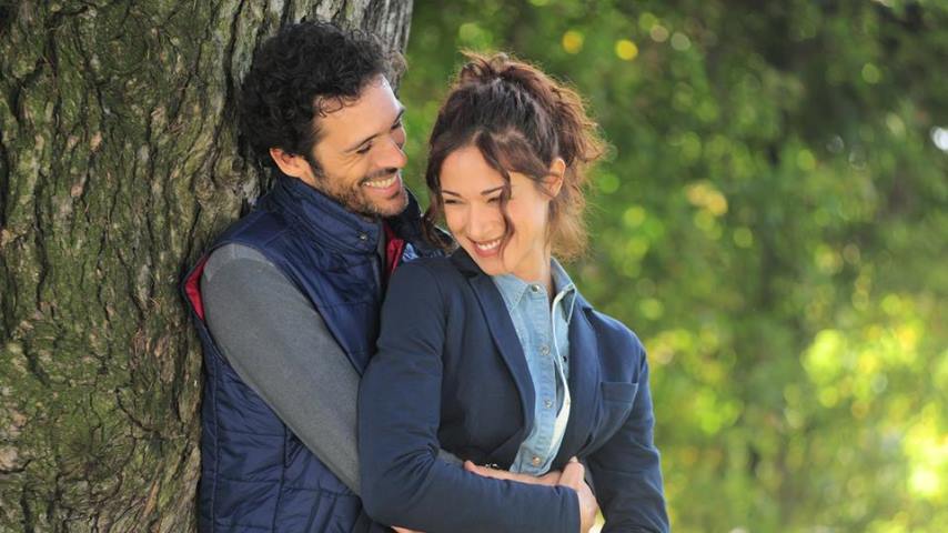 foto centovetrine brando e viola