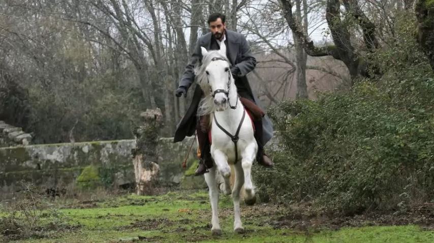 foto il segreto olmo