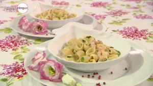 foto conchigliette dell'amore