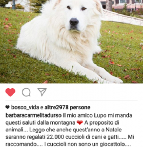 appello di Barbara