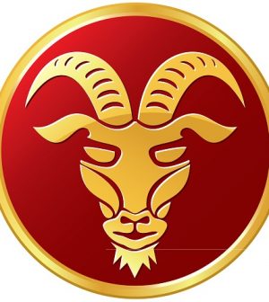 foto capricorno zodiaco
