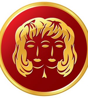 foto gemelli zodiaco