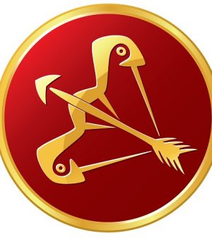 foto sagittario zodiaco