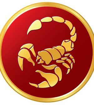 foto scorpione zodiaco