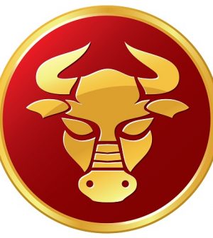 foto toro zodiaco