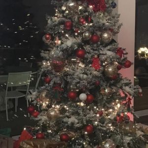 foto Antonella Clerici albero di Natale