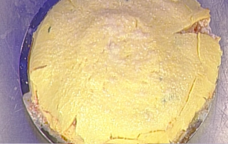 Foto millefoglie di polenta La prova del cuoco