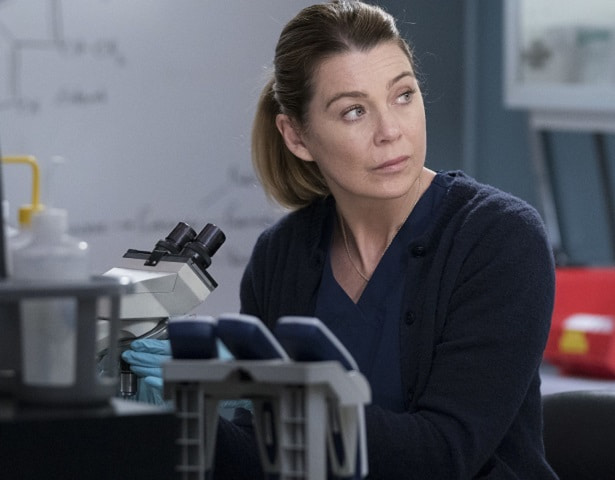 Foto Meredith Grey