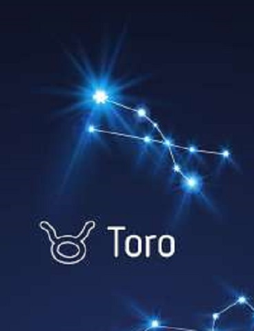 foto toro