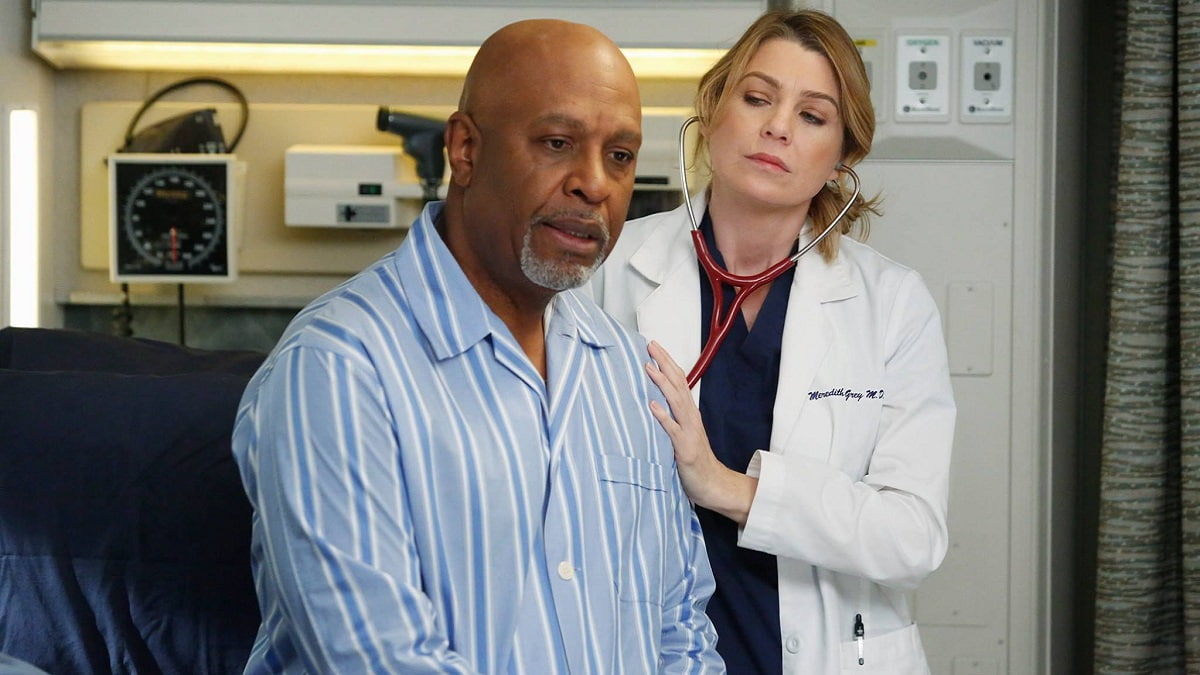 Foto Richard Webber e Meredith Grey