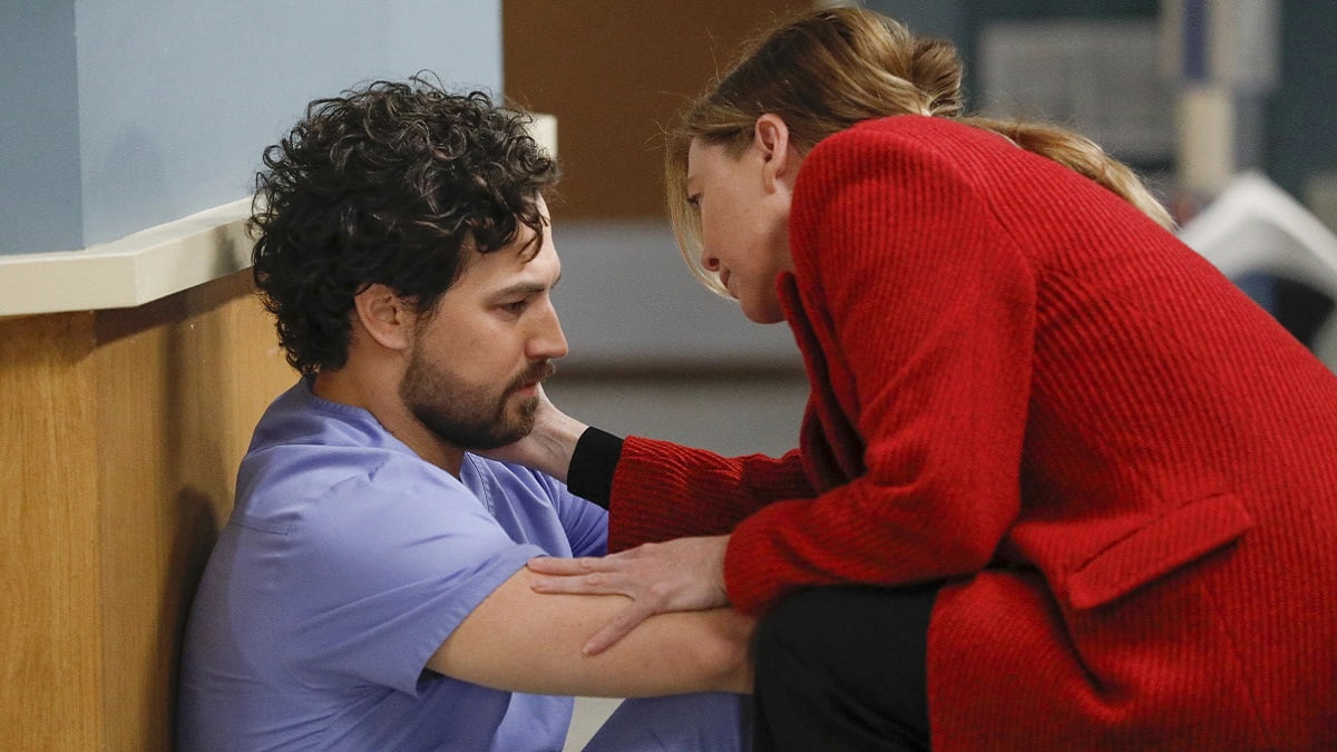 Foto Meredith Grey e Andrew DeLuca