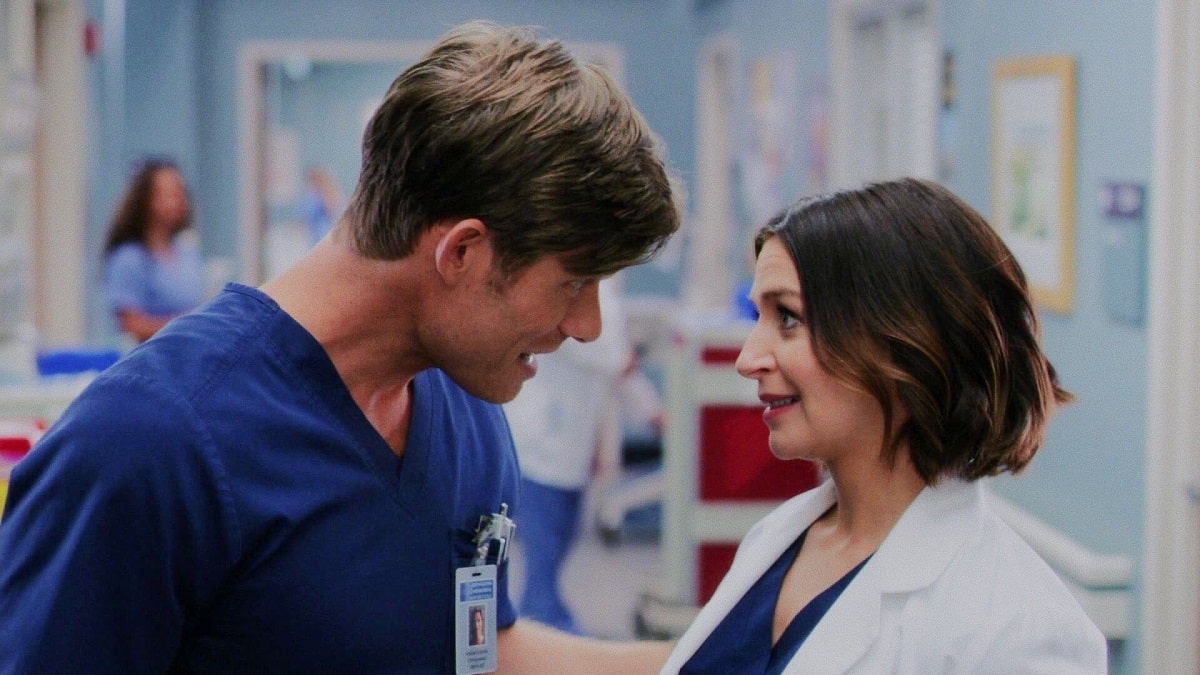 Foto Grey's Anatomy - Amelia e Link
