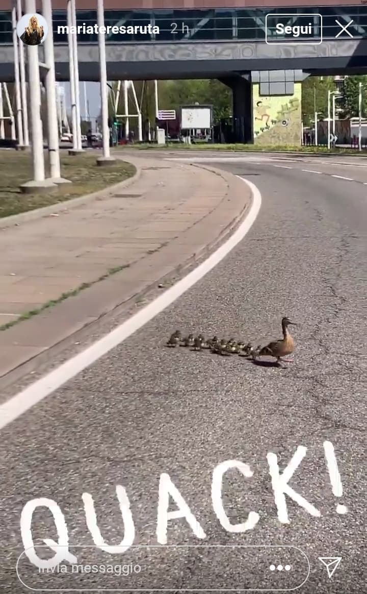 foto Maria Teresa Ruta stupita da un attraversamento di volatili