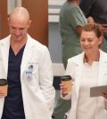Foto Grey's Anatomy 18 - Meredith e Hayes