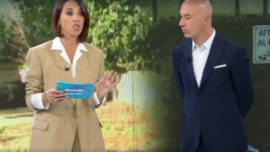 foto estate in diretta