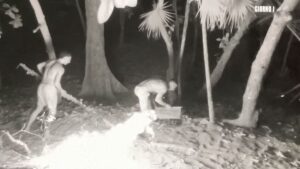 foto naufraghi regolamento isola