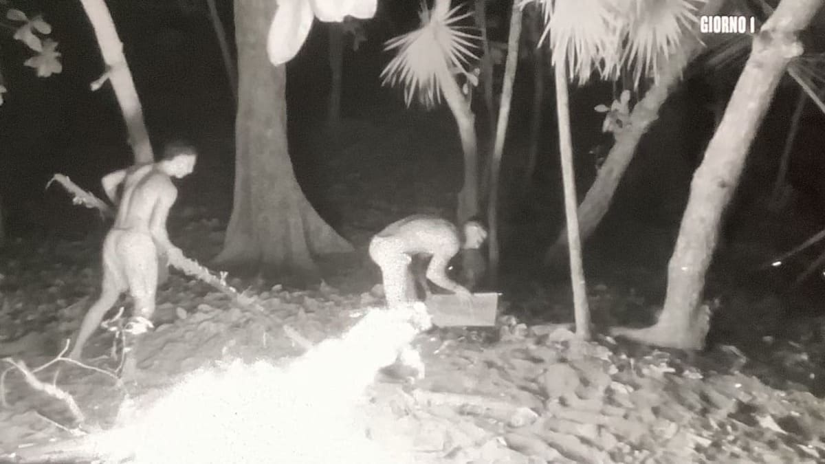 foto naufraghi regolamento isola
