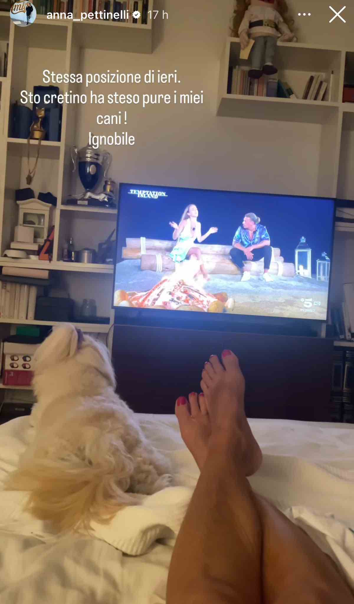 foto post pettinelli