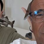 Cristiano Malgioglio a Sanremo? Gesto di Carlo Conti non passa inosservato