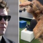 Fedez demolito da Naike Rivelli: “Scioccata da questo piccolo personaggio”