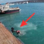 Striscia La Notizia, troupe aggredita: un cameraman scaraventato in mare