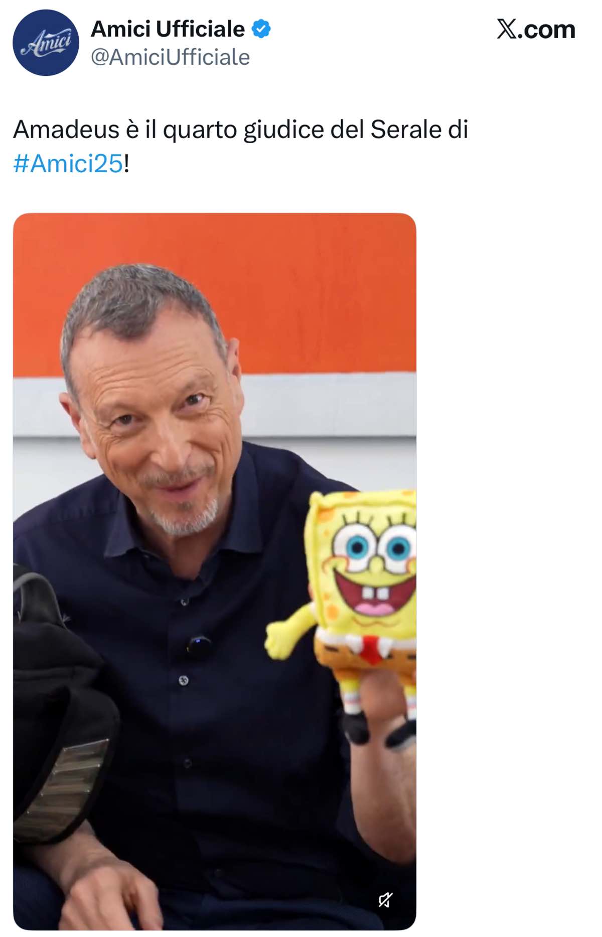 foto amadeus quarto giurato amici25 annuncio