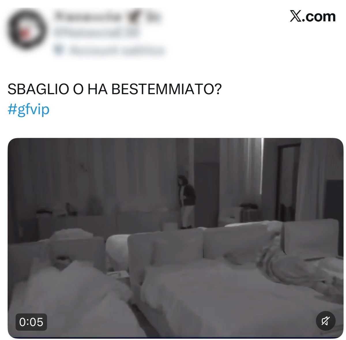foto Ibiza gfvip bestemmia presunta
