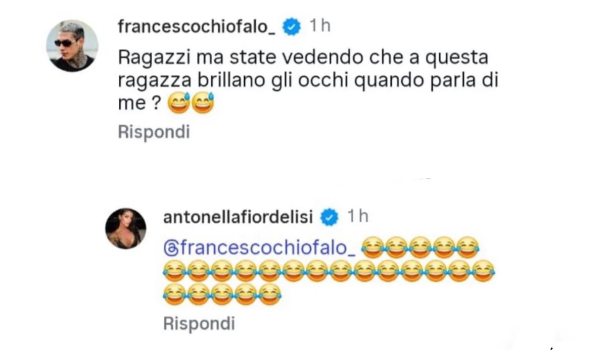 foto chiofalo commenta fiordelisi balivo