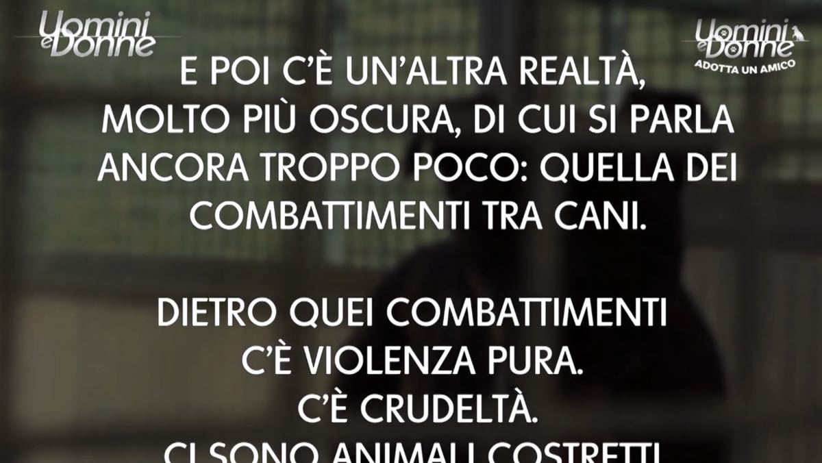 foto allarme maria de filippi