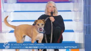 foto maria de filippi uomini e donne ultima puntata