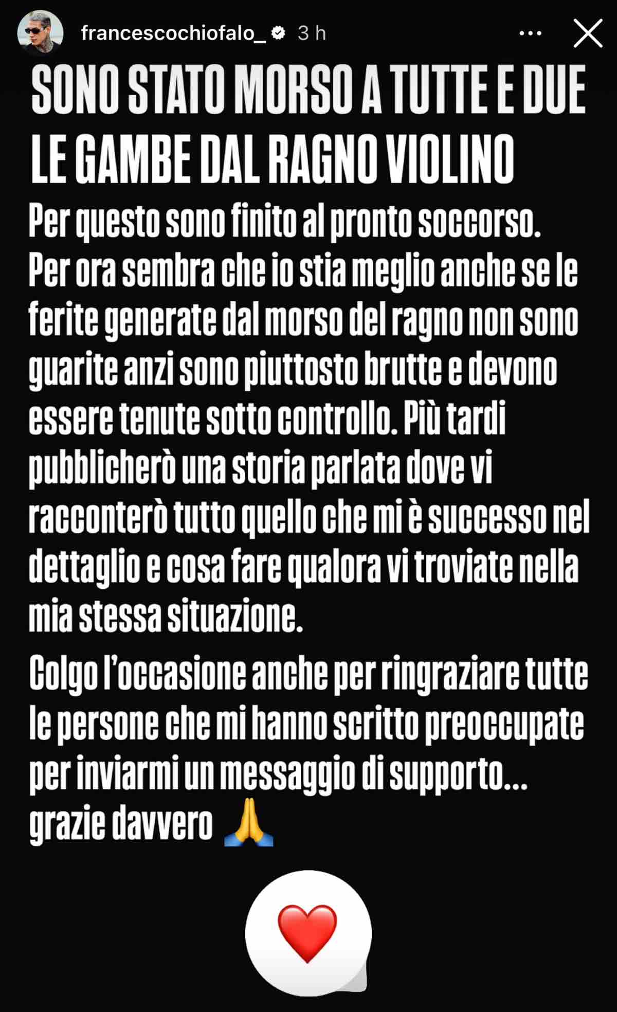 foto francesco chiofalo morso ragno