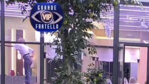 foto topo gfvip giulia provvedi