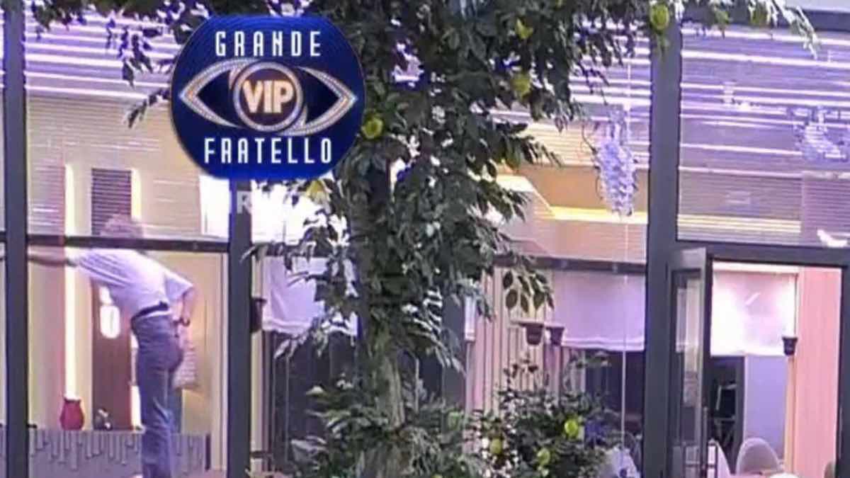 foto topo gfvip giulia provvedi